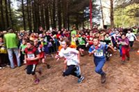 kross 2013